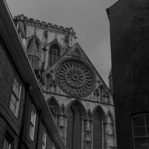 Photo #11037386