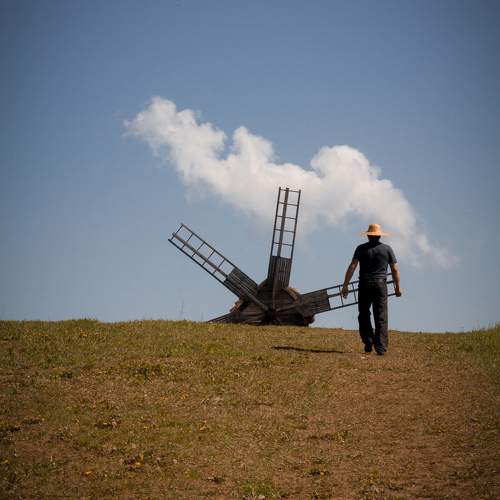 Photo #11037613