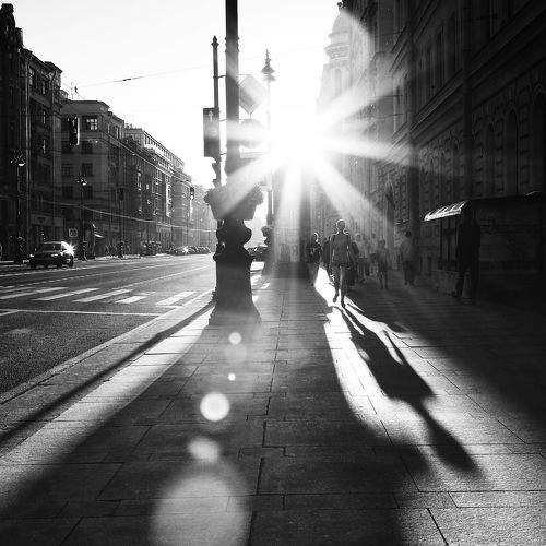 Photo #11037778