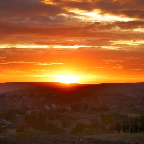 Photo #11037779