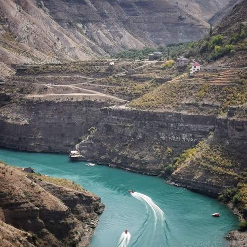 Photo #11037786