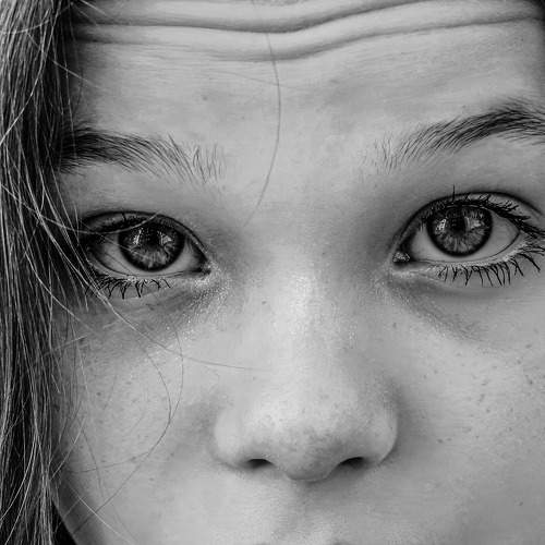 Photo #11038042