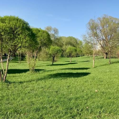 Photo #11038060