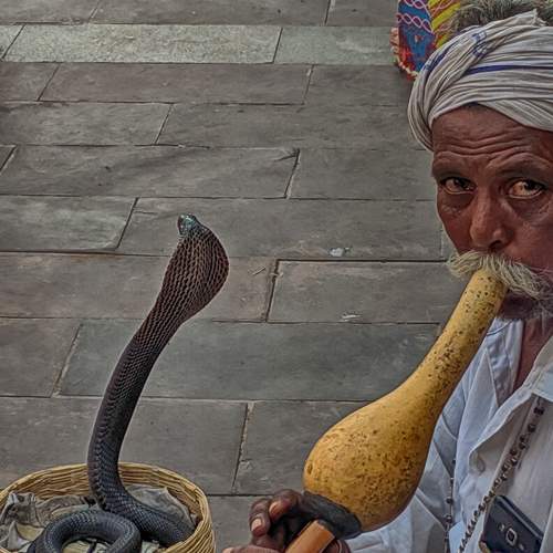 Photo #11038417
