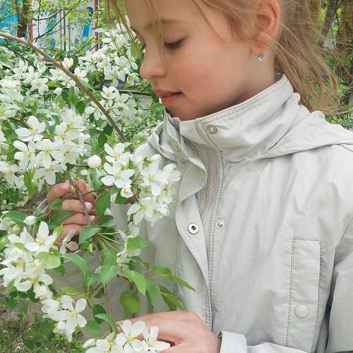 Photo #11038559