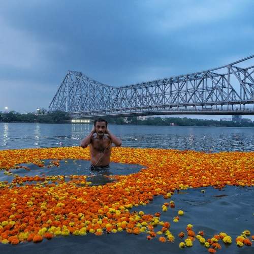 Photo #11039035