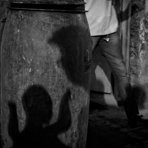 Photo #11039046