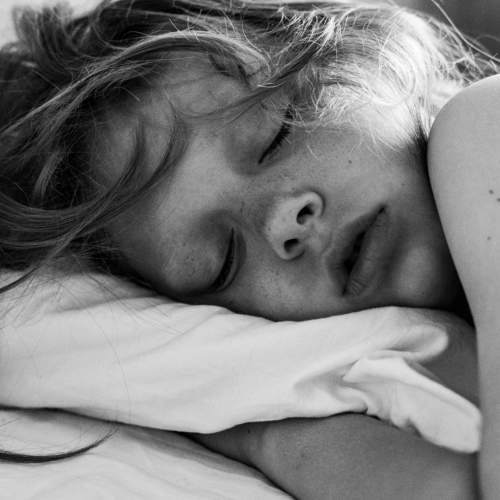 Photo #11039297