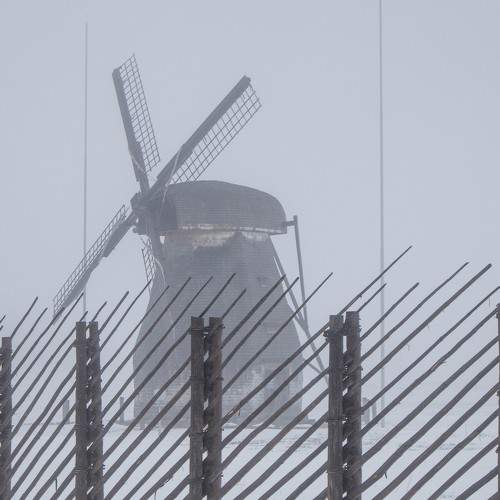 Photo #11039502