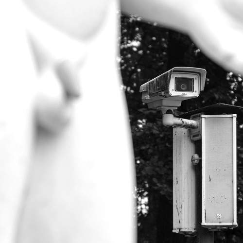 Photo #11039509