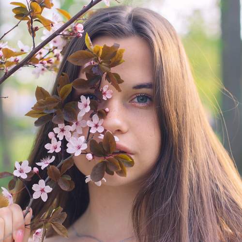 Photo #11039784