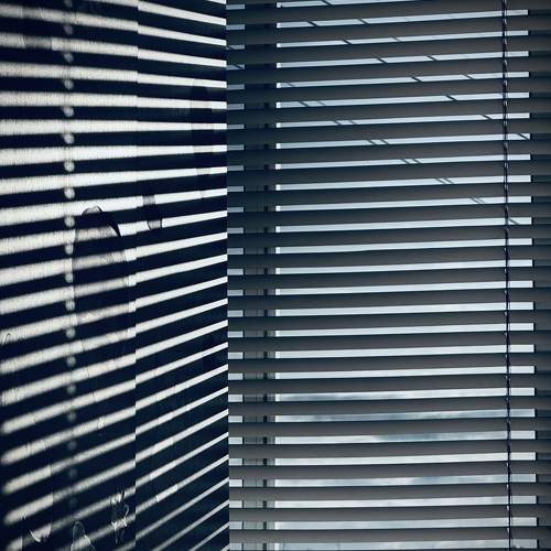 Photo #11039928