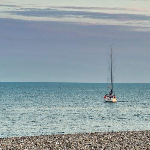 Photo #11039939
