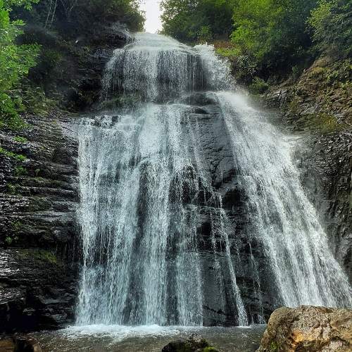 Photo #11040278