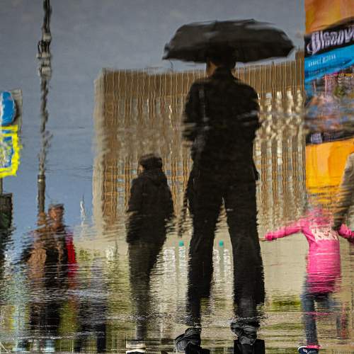 Photo #11040570