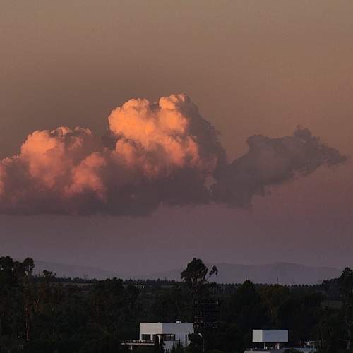 Photo #11040811