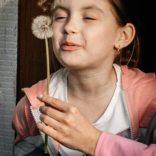 Photo #11040929