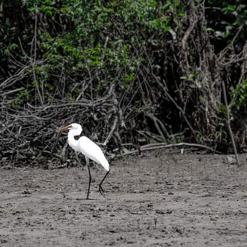 Photo #11041295