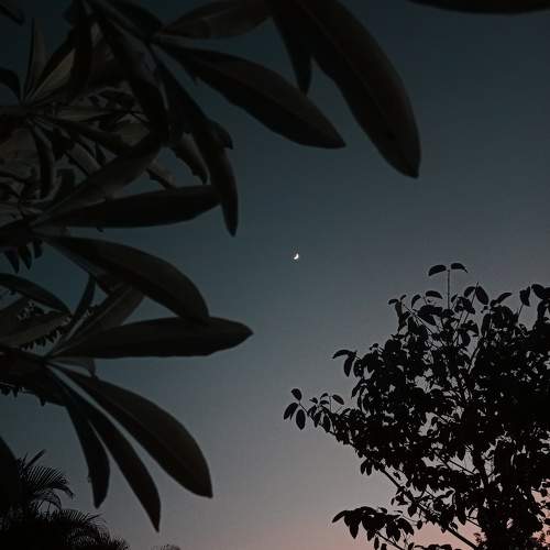 Photo #11041837