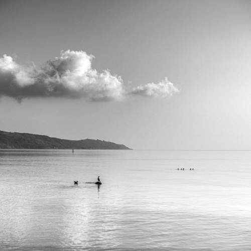Photo #11042131