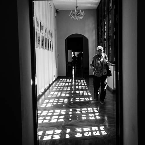 Photo #11042150