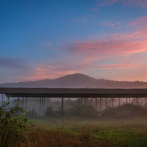 Photo #11042880
