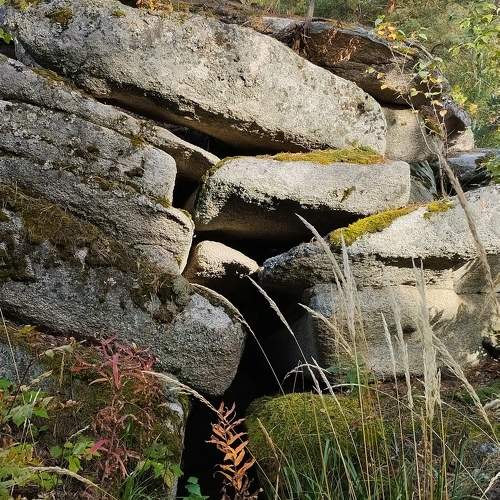 Photo #11043184