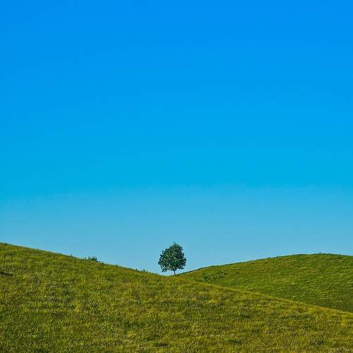 Photo #11043286