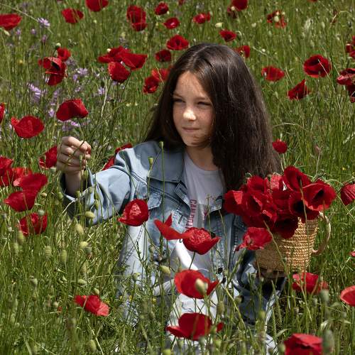 Photo #11043407