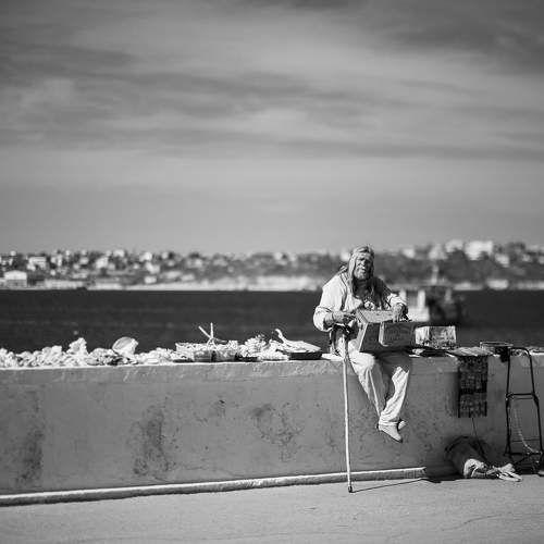 Photo #11043443