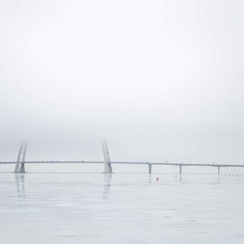 Photo #11043504