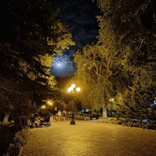 Photo #11043779