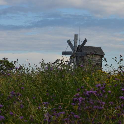 Photo #11043860