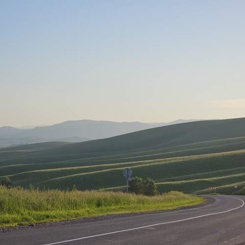 Photo #11043885