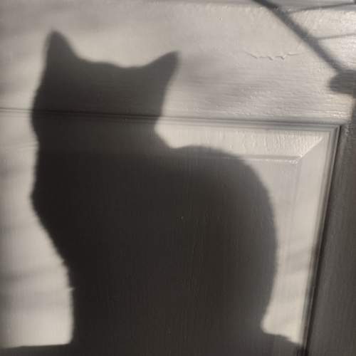 Photo #11044236