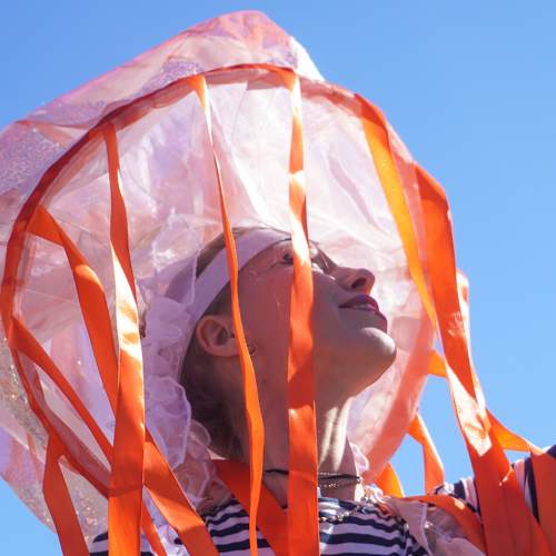 Photo #11044327