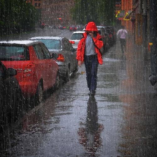 Photo #11044490