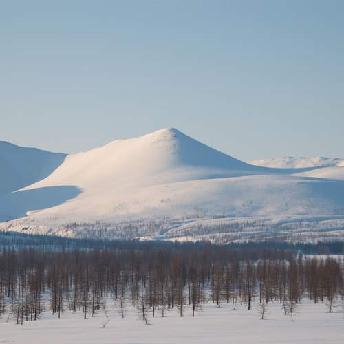 Photo #11044589