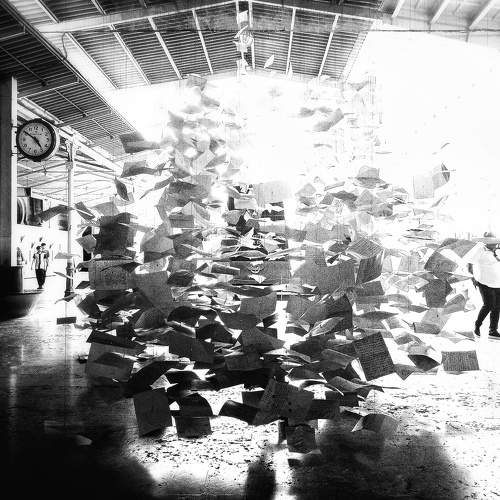 Photo #11044956