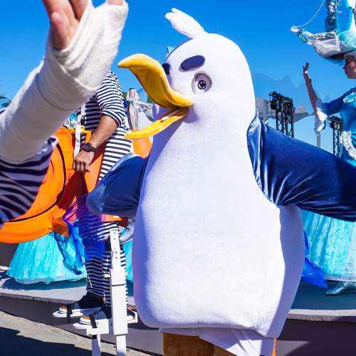 Photo #11044990