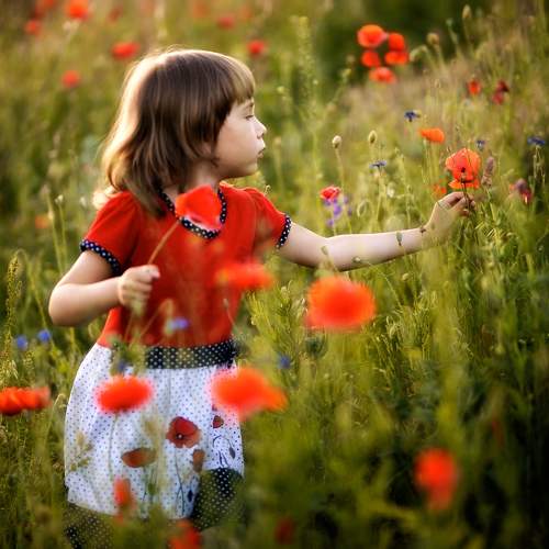 Photo #11045178