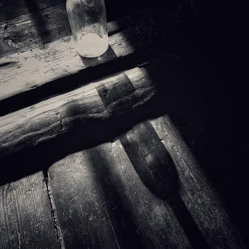 Photo #11045248