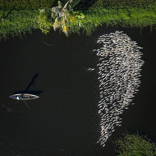 Photo #11045404
