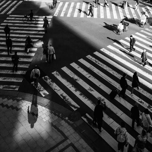 Photo #11045741