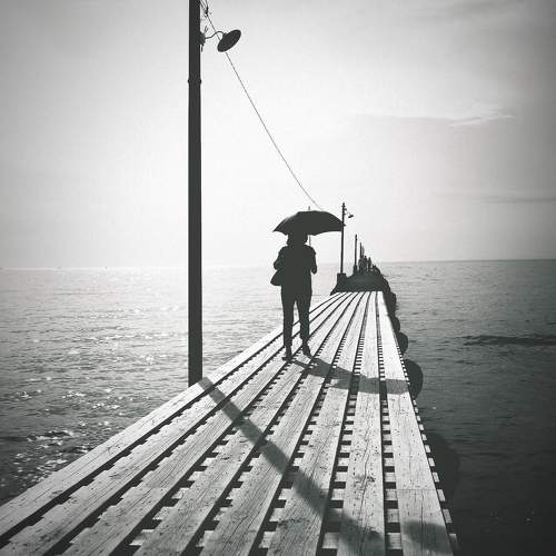 Photo #11045744