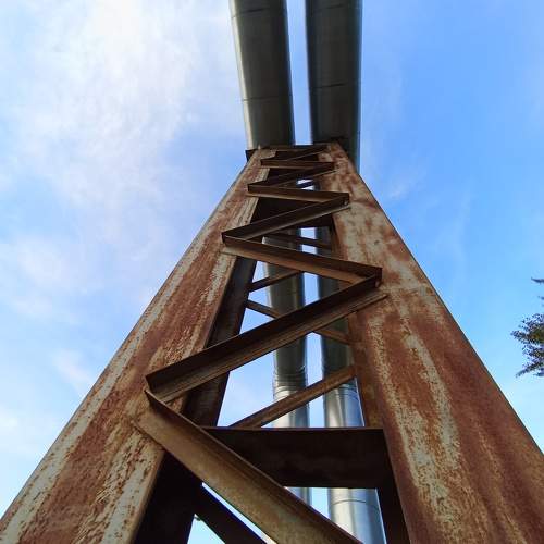 Photo #11045779