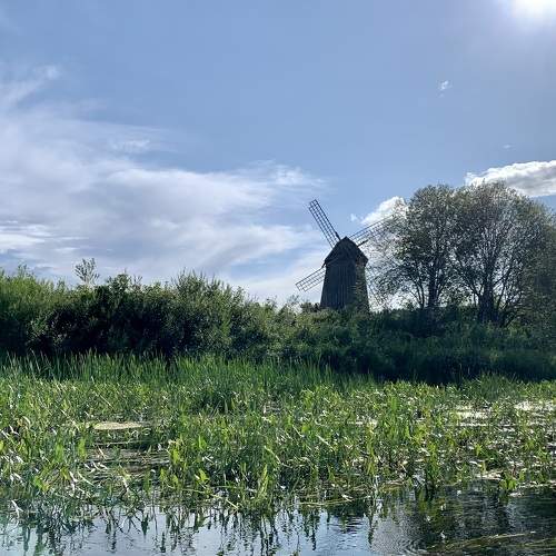 Photo #11046352