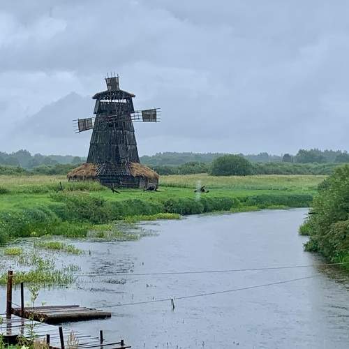 Photo #11046359