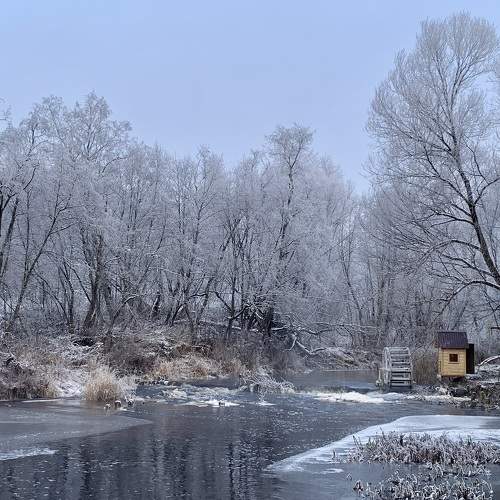 Photo #11046366