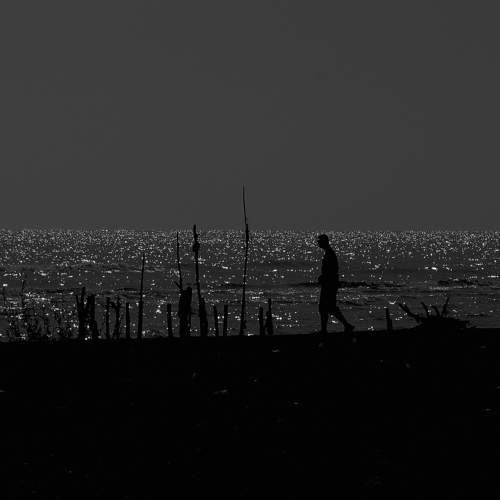 Photo #11046967